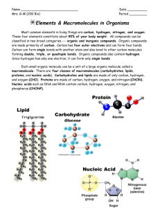 Nucleic Acids - Mrs. GM Biology 200