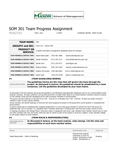 SOM 301 Team Progress Assignment