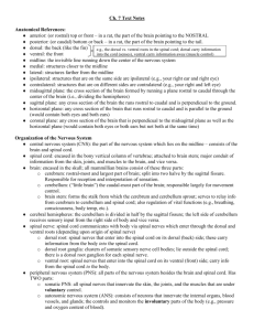 text notes ch 7