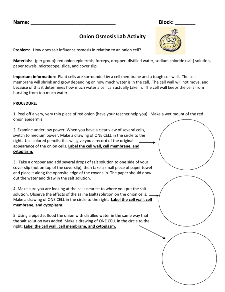 Osmosis and diffusion lab activity