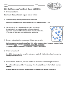 Cell Test # 2 Study Guide with answers