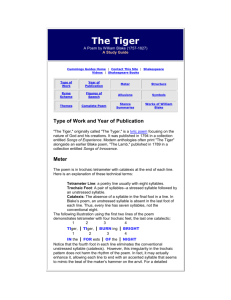 The Tiger - csimmonds