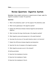 Digestive System Homework