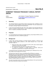Exec Report Teenage Pregnancy 230304