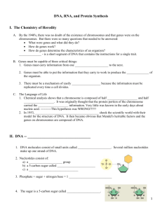 DNA, RNA, and Protein Synthesis Note Packet