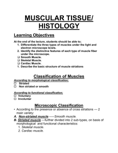 Histology Muscular Tissue By Dr. Nand Lal Dhomeja