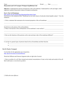 Name: Period: _____ Date: ______ Homeostasis and Cell Transport