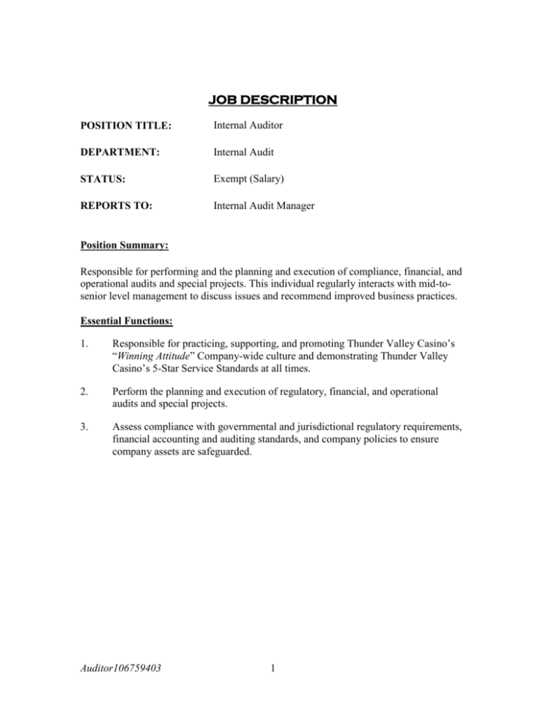 Internal Auditor Job Description