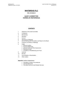 objectives of the audit committee
