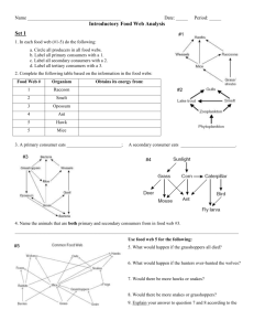 Introductory Food Web Analysis