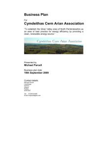 Business Plan Template - Cymdeithas Cwm Arian Association
