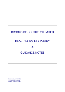 Policy Statement - Brookside (Southern)
