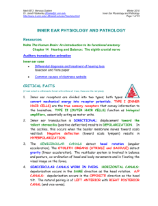 inner ear physiology and pathology