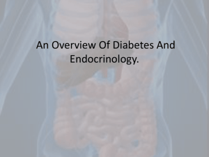 An Overview Of Diabetes And Endocrinology.
