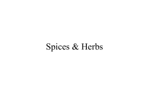 Why spices are important