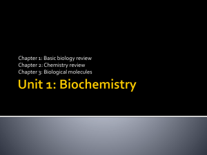 Unit 1: Biochemistry