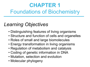 Biochemistry Chapter 1