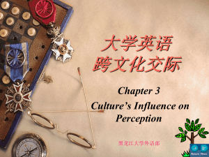 Chapter 3 Culture's Influence on Perception