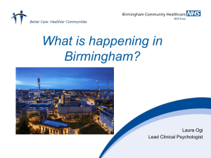 Birmingham Professional Network (Office document, 2429kB)