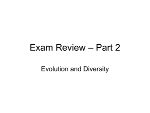 Exam Review – Part 2