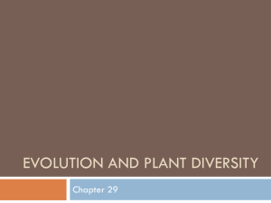 Evolution and Plant Diversity