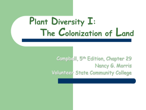 Plant Diversity I: The Colonization of Land