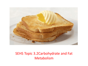 SEHS Topic 3.2 Carbohydrate and Fat Metabolism