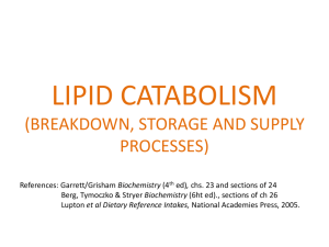 lipid metabolism (catabolic, supply and storage processes)