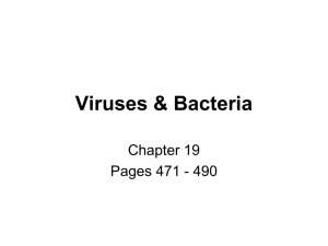 Viruses & Bacteria