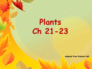 Plants Long Part A - Phillips Scientific Methods
