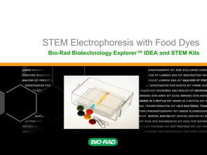 Electrophoresis with Food Dyes (STEM and IDEA Kits) - Bio-Rad