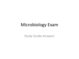 Microbiology Study Guide Answers