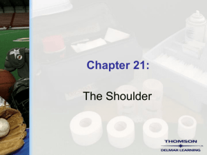 Chapter 21 - The Shoulder - Delmar
