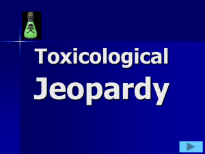 jeopardy Joes 2009