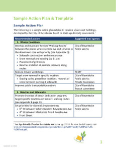 Sample Action Plan and Template