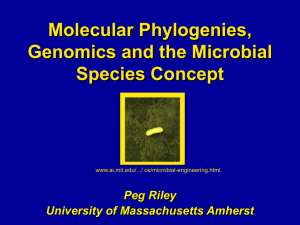 Gene Trees, Populations and the Microbial Species Concept