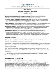 Business Intelligence Consultant