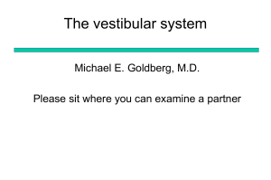 The vestibular system