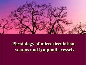 06 Physiology of microcirculation, venous and lymphatic vessels