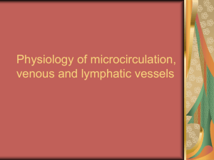 Physiology of microcirculation, venous and lymphatic vessels
