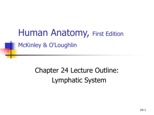 Human Anatomy, First Edition McKinley&O'Loughlin