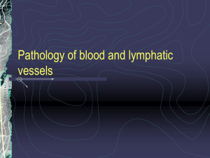 Pathology of blood and lymphatic vessels