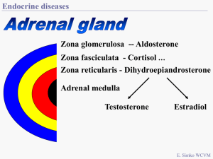 Other endocrine clinical conditions