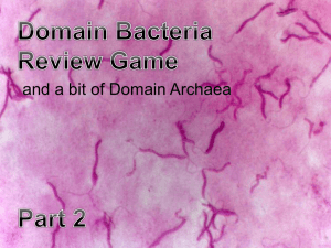 Bacteria_Review_Game..