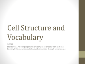 Cell Structure and Vocabulary