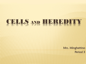 CELLS and HEREDITY