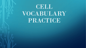Cell Vocabulary Practice