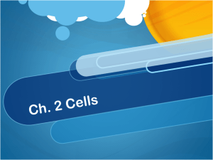 Ch. 2 Cells
