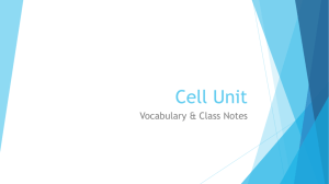 Cell Unit Vocabulary & Student Notes by CH 12.8.15