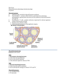 Thyroid_Physiology